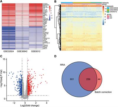 Identification of Effective Diagnostic Biomarkers and Immune Cell Infiltration in Atopic Dermatitis by Comprehensive Bioinformatics Analysis